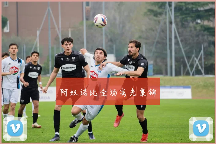 阿奴诺比全场高光集锦