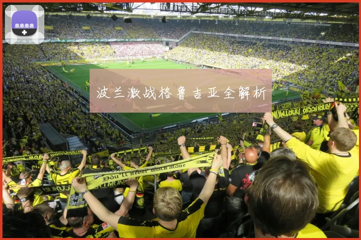 波兰激战格鲁吉亚全解析