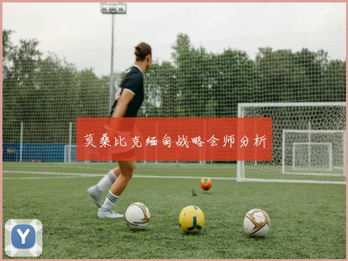 莫桑比克缅甸战略会师分析