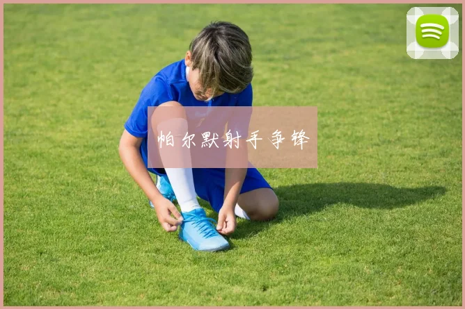 帕尔默射手争锋