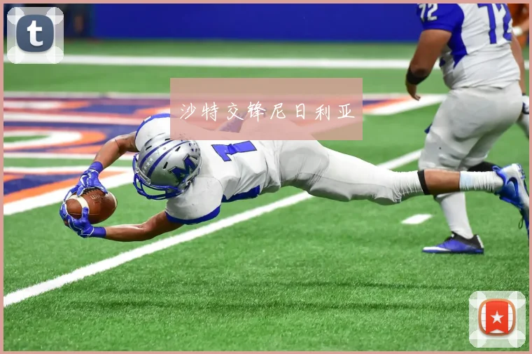 沙特交锋尼日利亚
