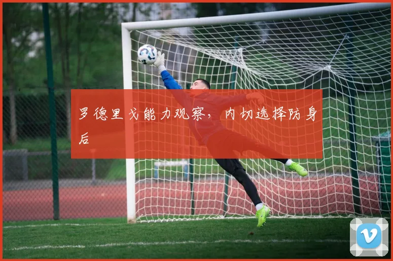 罗德里戈能力观察，内切选择防身后